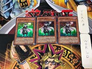 夜薔薇の騎士 3 スーパー 3枚セット てら