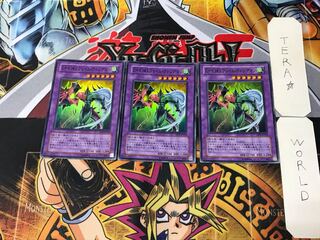 Elemental HERO Flame Wingman 5 Super Set of 3 Tera