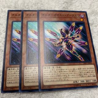 オルターガイスト・プークエリ　専用