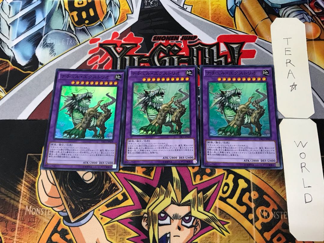 Naturia Exterio 1 Super Set of 3 Tera