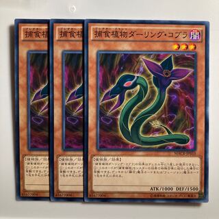 8524 捕食植物ダーリング・コブラ ノーマル JP010