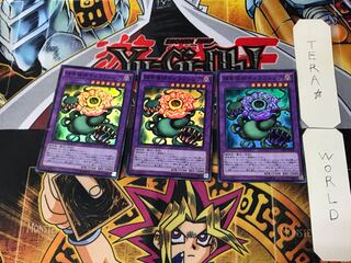 Predaplant Chimerafflesia 2 Super Set of 3 Tera