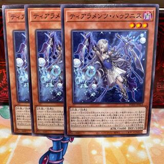 No.1563 P shop Tiaramenz Hafnis [no