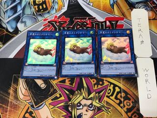 Some Summer Summoner 1 Super Set of 3 Tera