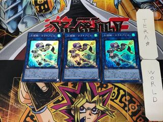 Water Seirin Scale - Saraki Avis 5 Super Set of 3 Tera