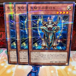 No.1580 P屋 Noble Knight's Shield-Bearer [Para