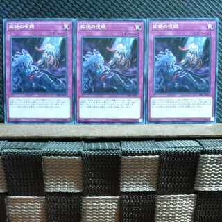 【ぽぽたん】遊戯王  #501  妬絶の呪眼  ノーマル3枚