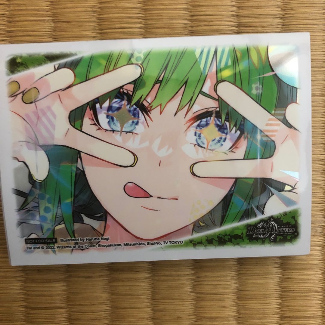 Baragiara Sleeve 20pcs.