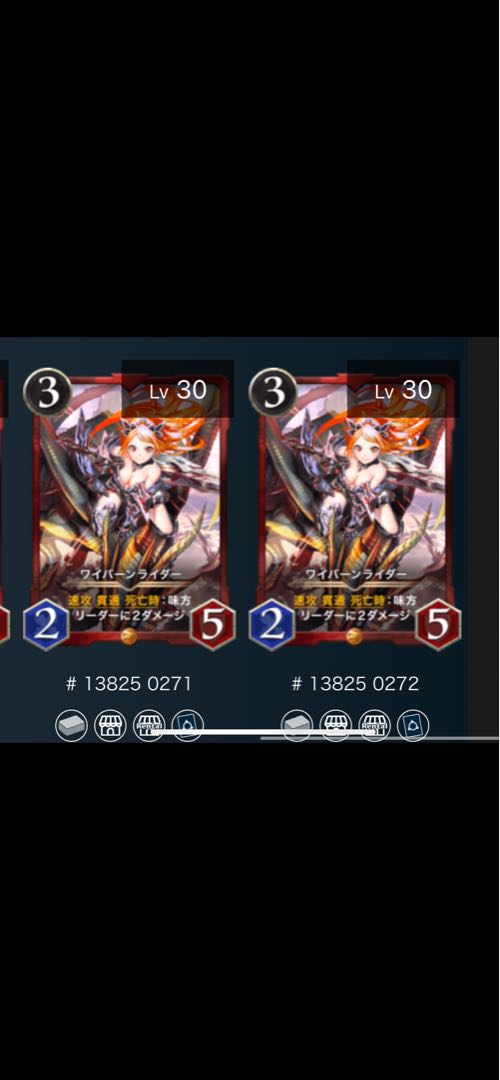 ワイバーンライダー　2枚セット　スピあり