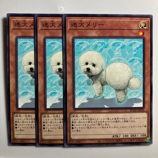 8536 Outstanding Dog Mary Normal Rare JP035 $3228