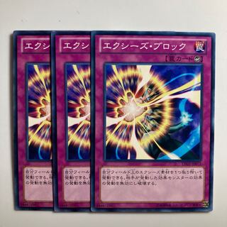 エクシーズ・ブロック  $3250