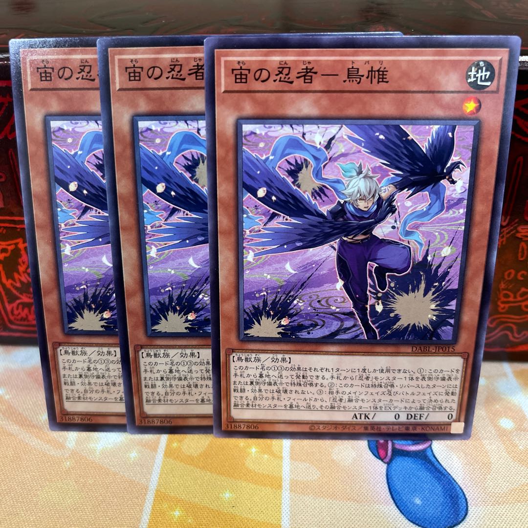 No.1587 P屋 宙の忍者-鳥帷 【ノー】