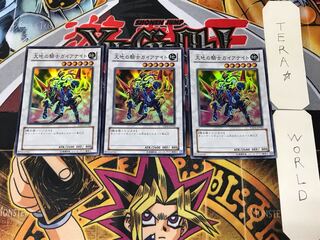 Gaia Knight, the Force of Earth 2 Super 3-card set, Tera