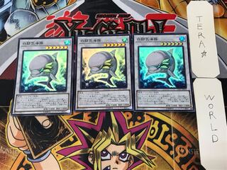 White Aura Dolphin 5 Super Set of 3 Tera