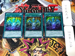 RUM-Bari Janine Riryoku 2 Ultra, set of 3 Tera