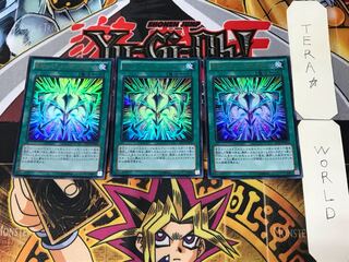 RUM-Limited Bari Janine Riryoku 3 Ultra Set of 3 Tera