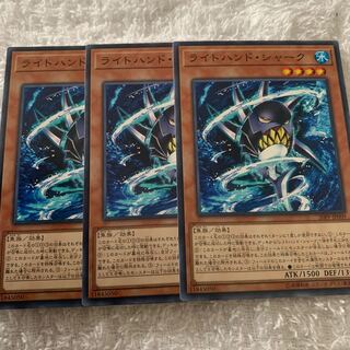 ライトハンド・シャーク