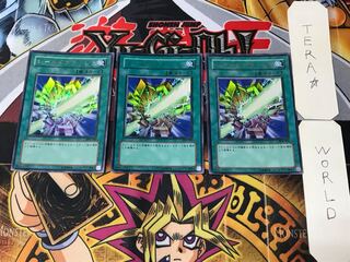 Shield Crush 3 Ultra Set of 3 Tera