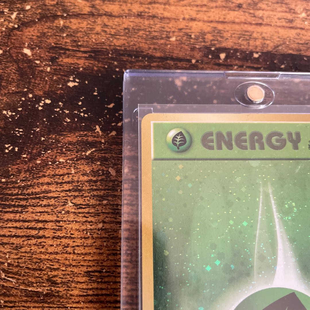 アニバーサリーエネルギー草