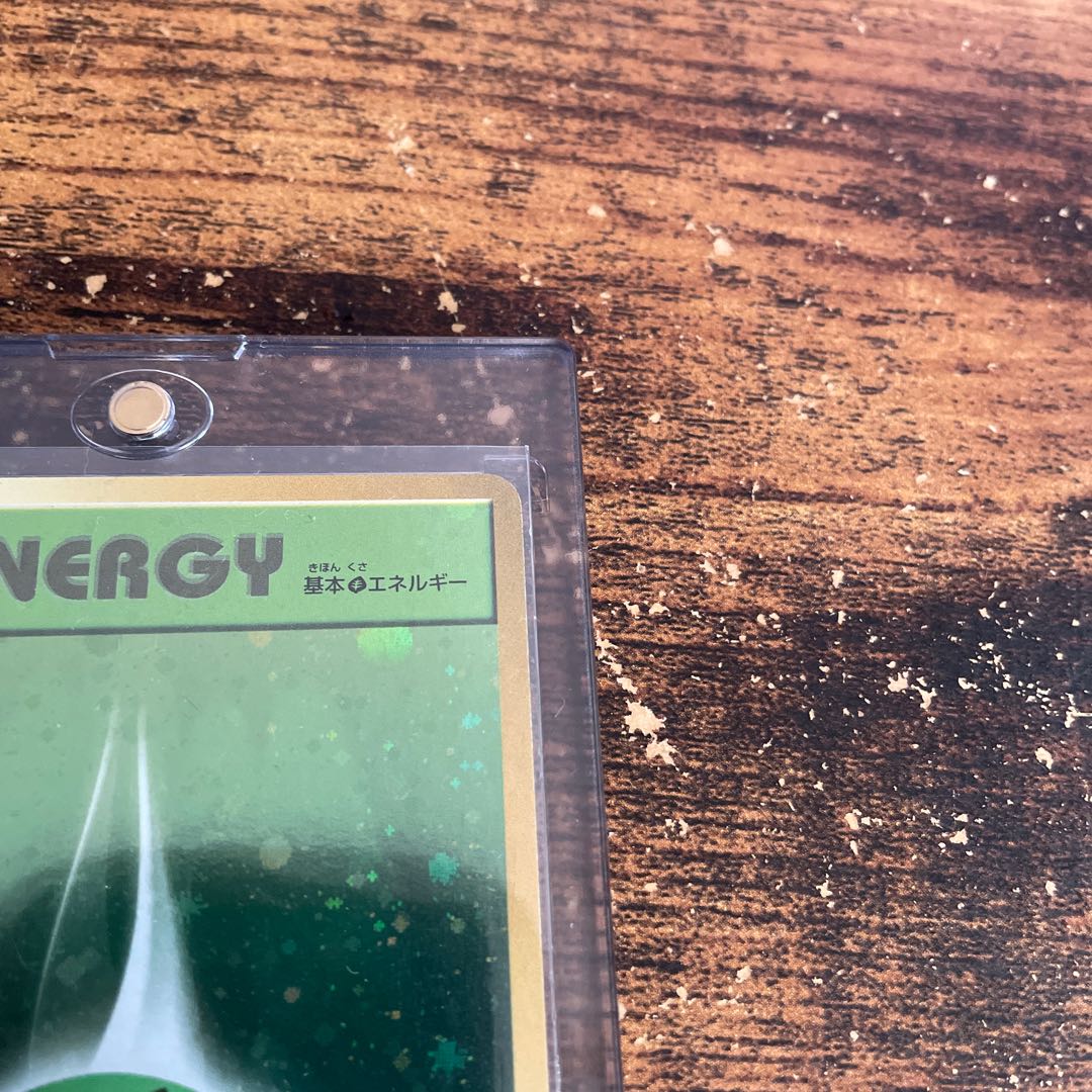 アニバーサリーエネルギー草