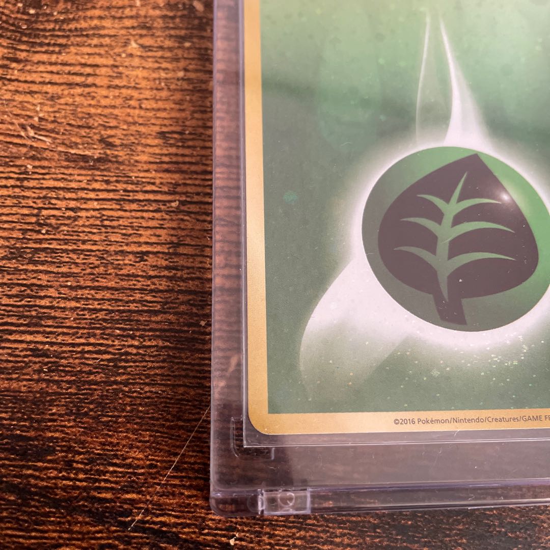 アニバーサリーエネルギー草