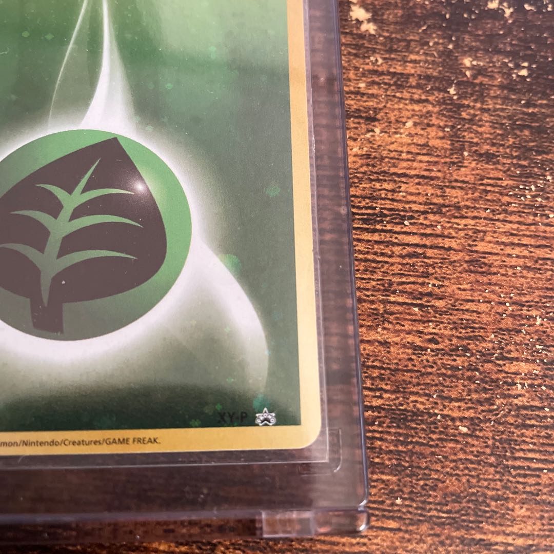 アニバーサリーエネルギー草