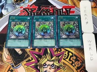 Shrink 1 Ultra Set of 3 Tera