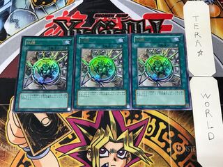 Shrink 2 Ultra Set of 3 Tera