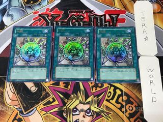 Shrink 4 Ultra Set of 3 Tera