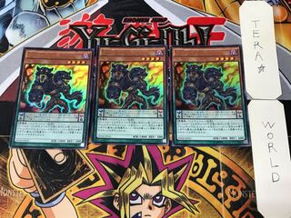 D/D Cerberus 1 Ultra, set of 3 Tera.