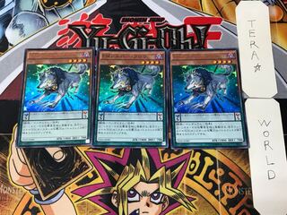 Performapal Silver Claw 2 Ultra Set of 3 Tera