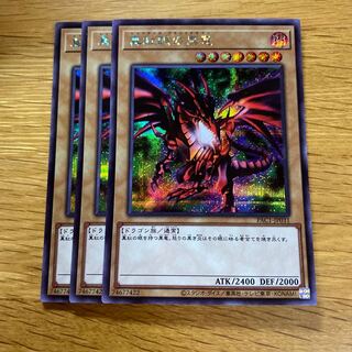 遊戯王カード レッドアイズブラックドラゴン 9枚 まとめ売り Amazon.co.jp: 遊戯王カード 真紅眼の黒竜(シークレットレア