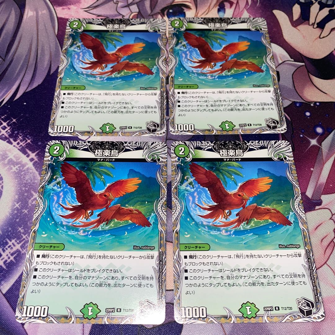 Birds of Paradise 1枚