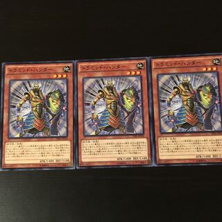 Tramid Hunter 3 pieces