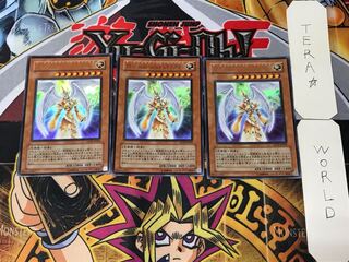 Splendid Venus 2 Ultra Set of 3 Tera