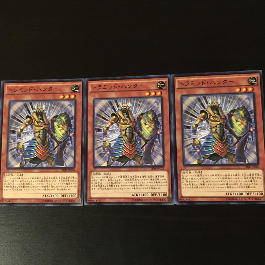 Tramid Hunter 3 pieces