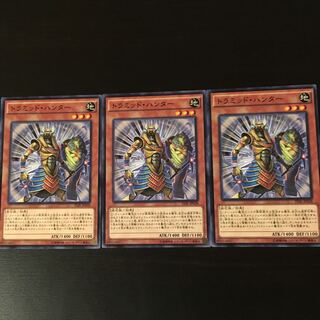 Tramid Hunter 3 pieces