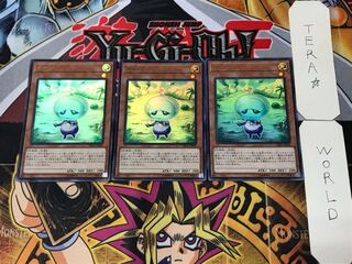 Eva 1 Ultra Set of 3 Tera