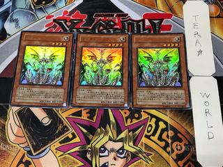 ウィクトーリア 2 ウルトラ 3枚セット てら