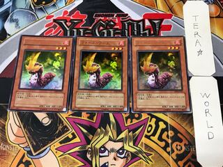 ウォーム・ワーム 1 ウルトラ 3枚セット てら