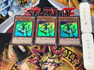 Sonic Warrior 2 Ultra, set of 3 Tera.