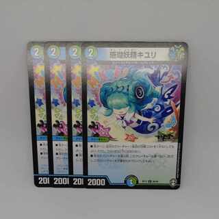 Coral Fairy Kiuri C 89/95