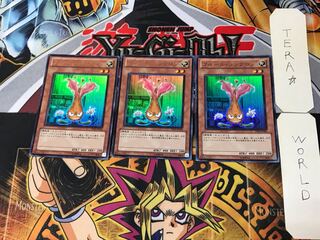 Fleur Synchron 5 Ultra Set of 3 Tera