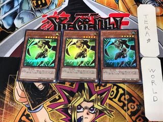 リンクスレイヤー 2 ウルトラ 3枚セット てら