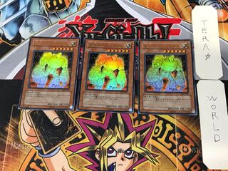 黄金のホムンクルス 5 ウルトラ 3枚セット てら