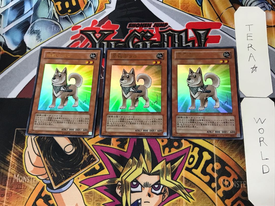 Shiba-Warrior Taro 2 Ultra, set of 3 Tera