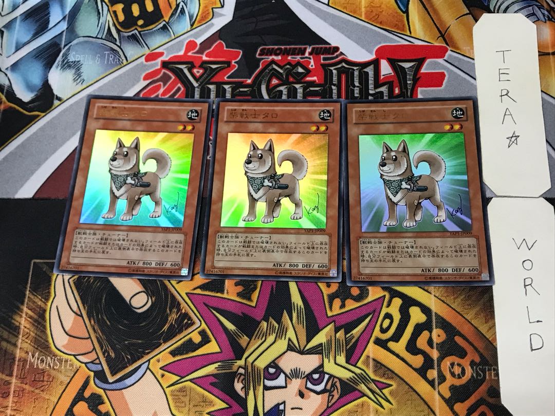 Shiba-Warrior Taro 4 Ultra, set of 3 Tera