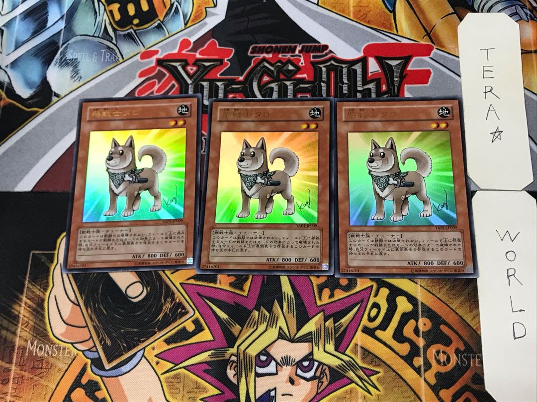 Shiba-Warrior Taro 5 Ultra Set of 3 Tera