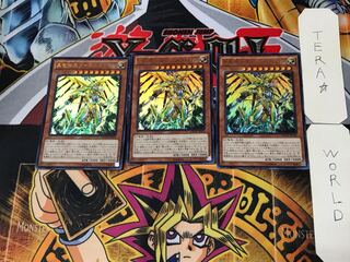 Metaltron XII, the True Dracombatant 2 Ultra, set of 3 Tera.