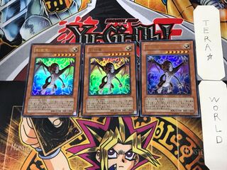 Genesis Dragon 4 Ultra, set of 3, Tera.